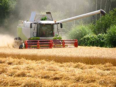 Steuerberatung in der Landwirtschaftlichen Buchstelle